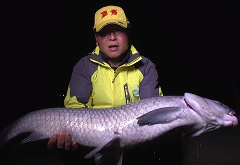 楚新钓终极挑战:征服神秘巨鳌龙王,挑战你的钓鱼技能 楚新钓终极挑战:征服神秘巨鳌龙王,挑战你的钓鱼技能