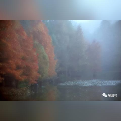 (苏醒介绍)苏醒因表现突出被央视点名表扬，引发粉丝热议与广泛关注